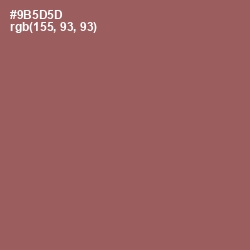 #9B5D5D - Sepia Skin Color Image