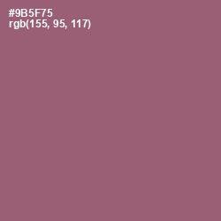 #9B5F75 - Cannon Pink Color Image