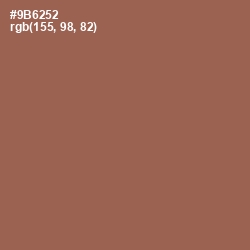 #9B6252 - Au Chico Color Image