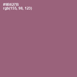 #9B627B - Bazaar Color Image