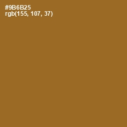 #9B6B25 - Kumera Color Image