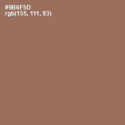 #9B6F5D - Beaver Color Image