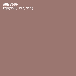 #9B756F - Hemp Color Image