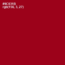 #9C031B - Carmine Color Image