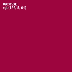 #9C053D - Paprika Color Image