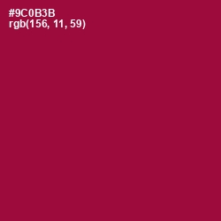 #9C0B3B - Paprika Color Image