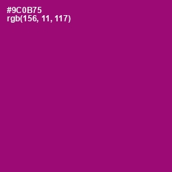#9C0B75 - Fresh Eggplant Color Image