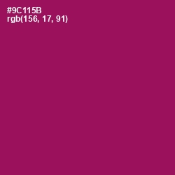 #9C115B - Cardinal Pink Color Image