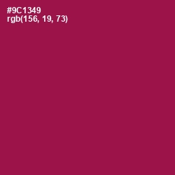 #9C1349 - Disco Color Image
