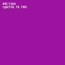 #9C13A0 - Violet Eggplant Color Image