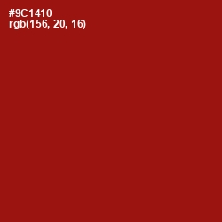 #9C1410 - Tamarillo Color Image