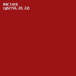 #9C1416 - Tamarillo Color Image