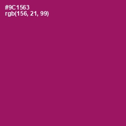 #9C1563 - Fresh Eggplant Color Image