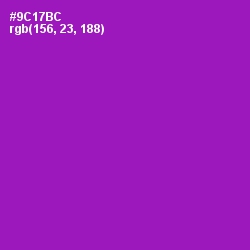 #9C17BC - Violet Eggplant Color Image