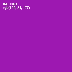#9C18B1 - Violet Eggplant Color Image