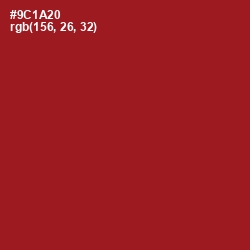 #9C1A20 - Merlot Color Image