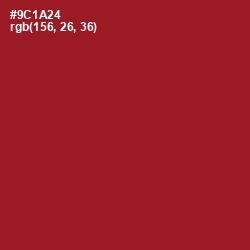 #9C1A24 - Merlot Color Image