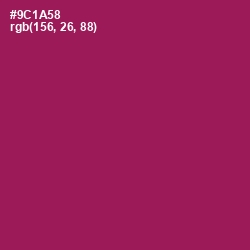 #9C1A58 - Disco Color Image