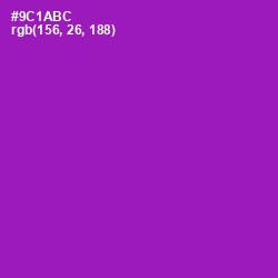 #9C1ABC - Violet Eggplant Color Image