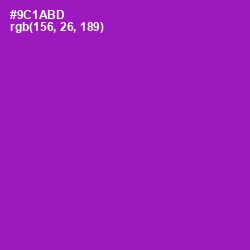 #9C1ABD - Violet Eggplant Color Image