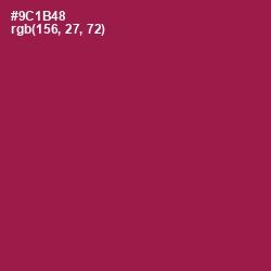 #9C1B48 - Disco Color Image