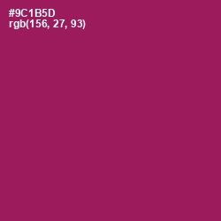 #9C1B5D - Disco Color Image