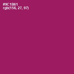 #9C1B61 - Fresh Eggplant Color Image