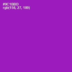 #9C1BBD - Violet Eggplant Color Image