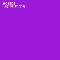 #9C1BDB - Electric Violet Color Image