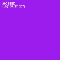 #9C1BED - Electric Violet Color Image