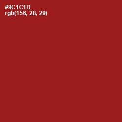 #9C1C1D - Tamarillo Color Image