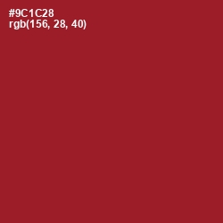 #9C1C28 - Merlot Color Image