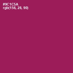 #9C1C5A - Disco Color Image