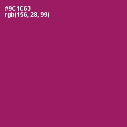 #9C1C63 - Fresh Eggplant Color Image