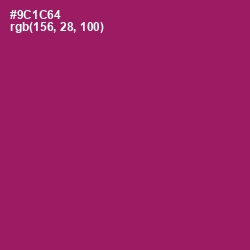 #9C1C64 - Fresh Eggplant Color Image