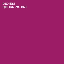 #9C1D66 - Fresh Eggplant Color Image