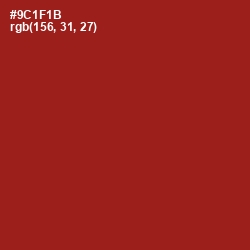 #9C1F1B - Old Brick Color Image