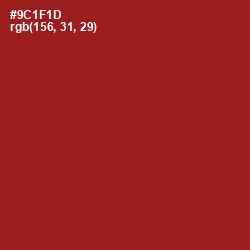 #9C1F1D - Old Brick Color Image