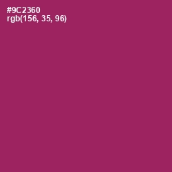 #9C2360 - Vin Rouge Color Image