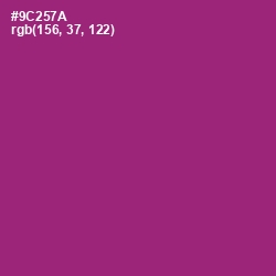 #9C257A - Plum Color Image