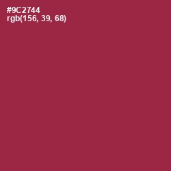 #9C2744 - Solid Pink Color Image