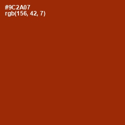 #9C2A07 - Cognac Color Image