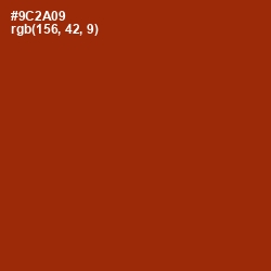 #9C2A09 - Cognac Color Image