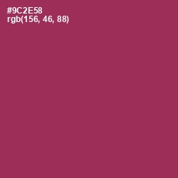 #9C2E58 - Camelot Color Image