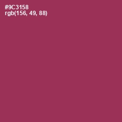 #9C3158 - Camelot Color Image