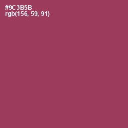 #9C3B5B - Camelot Color Image