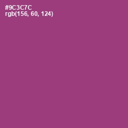 #9C3C7C - Plum Color Image