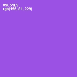 #9C51E5 - Amethyst Color Image