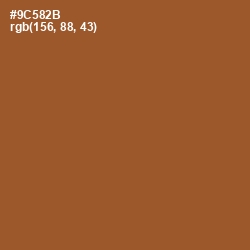 #9C582B - Potters Clay Color Image