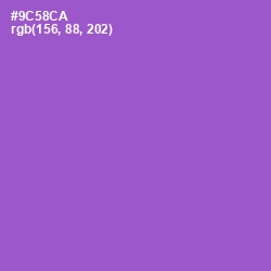 #9C58CA - Amethyst Color Image